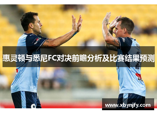 惠灵顿与悉尼FC对决前瞻分析及比赛结果预测